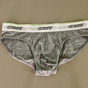 Coyote gray briefs. Size M.
